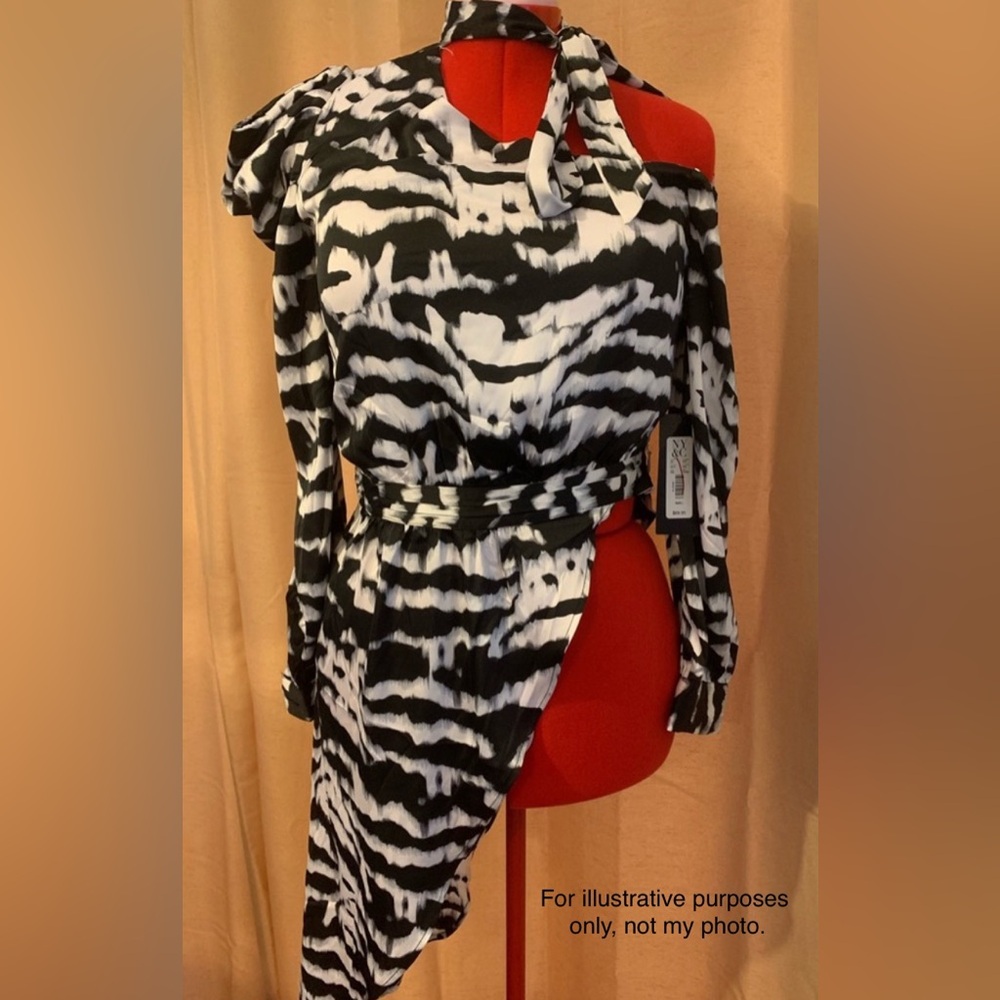 Gabrielle Union Black and White Dress